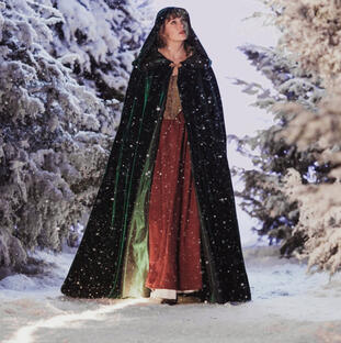 Taylor swift in willow music video